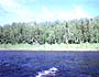 Great salmon fishing water