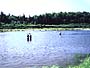 Main river - upriver from the mouth of the Cains