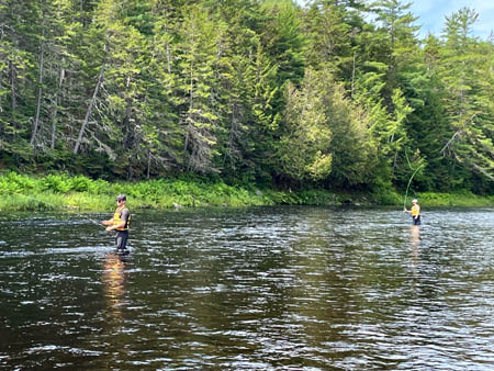 Fly Fishing on the Lower Cains River