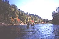 Canoing/Kayaking Day Adventures